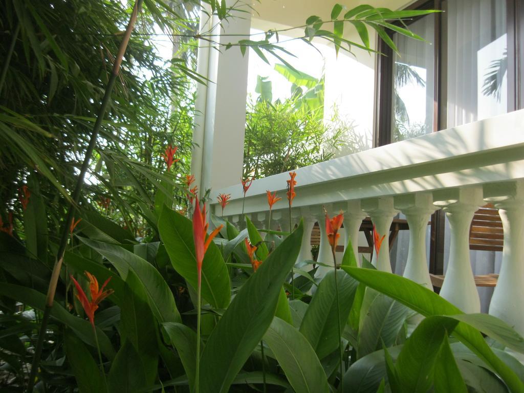 Palm View Villa Hoi An Zewnętrze zdjęcie